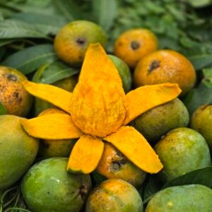 হিমসাগর আম। ১২কেজি